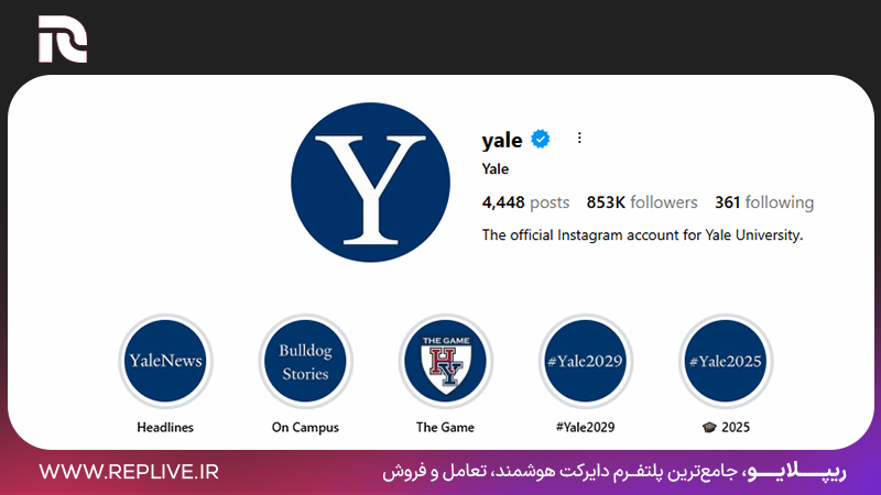 هایلایت‌های مناسب