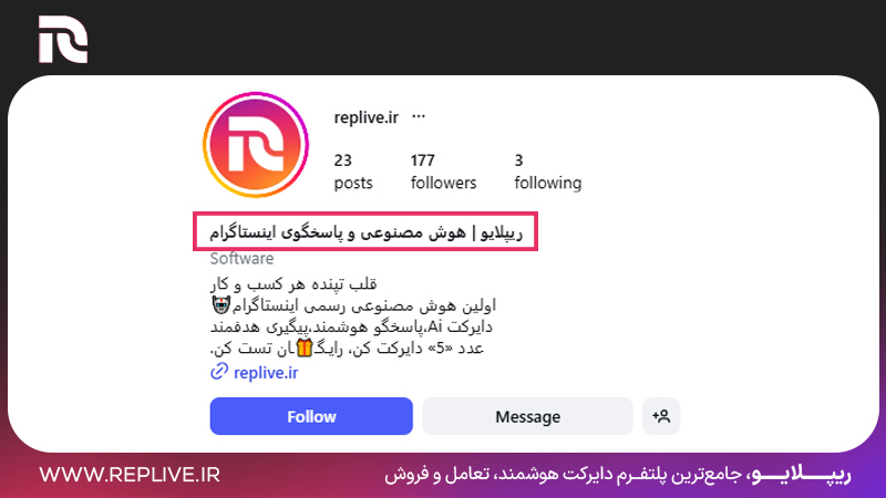 نمونه پروفایل عمومی پیج ریپلایو با نام و بیو بهینهشده برای نمایش در گوگل